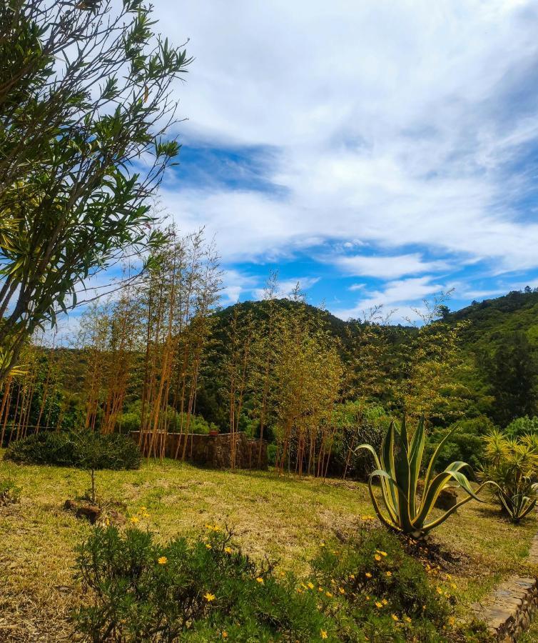 Monte Da Conqueira Villa Odemira Dış mekan fotoğraf